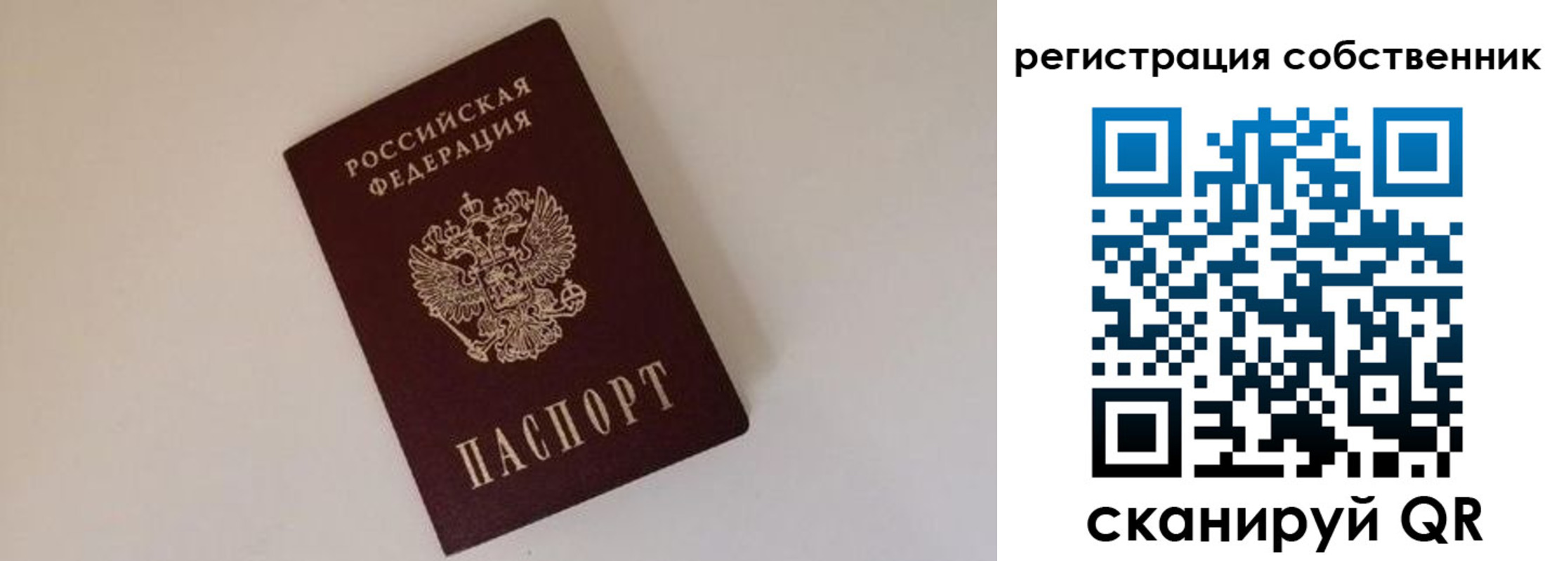 временная регистрация надежно в Павловске